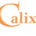 & Baufinanzierung in Hildesheim I Calix GmbH: Versicherungsberatung und Kontakt